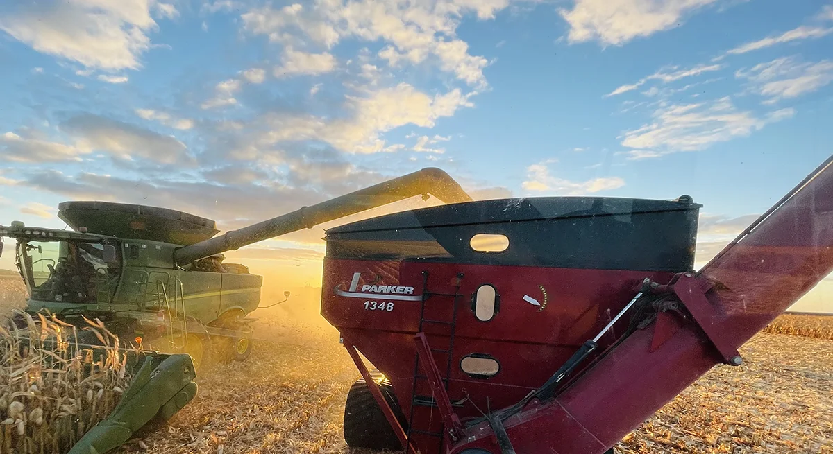 Picture of sugarbeet harvest